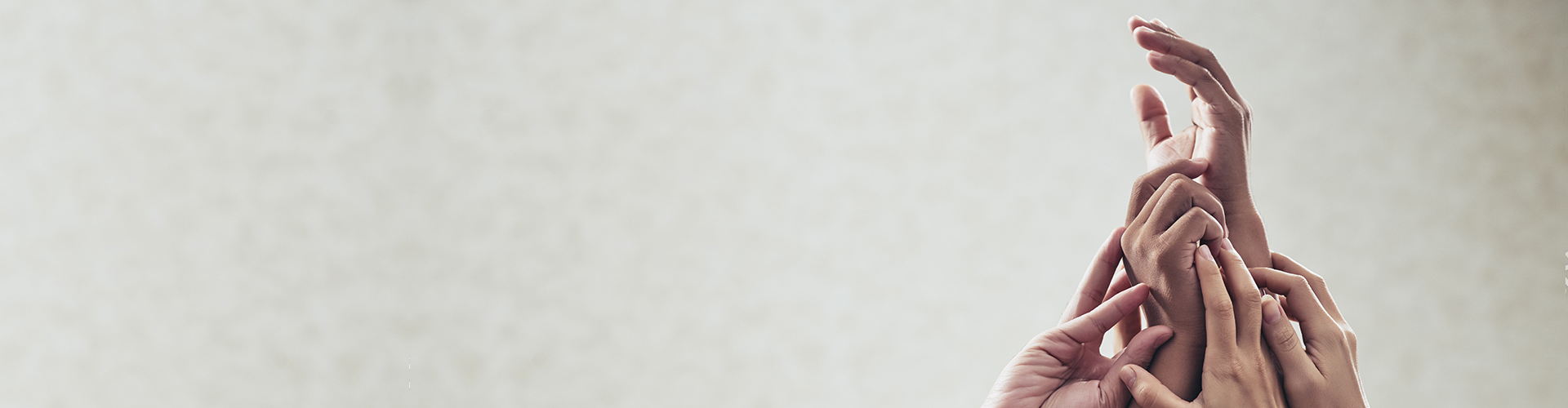 Bond Pricing Agency Malaysia | Shareholders
